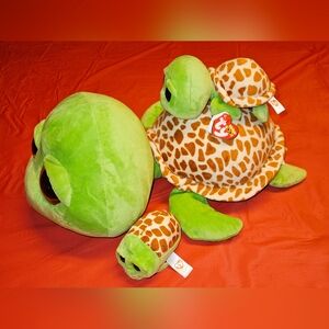 TY Beanie Turtle Bundle Zippy's 17" & 6"  1- Teeny Cruiser Stackable   E.U.C.
